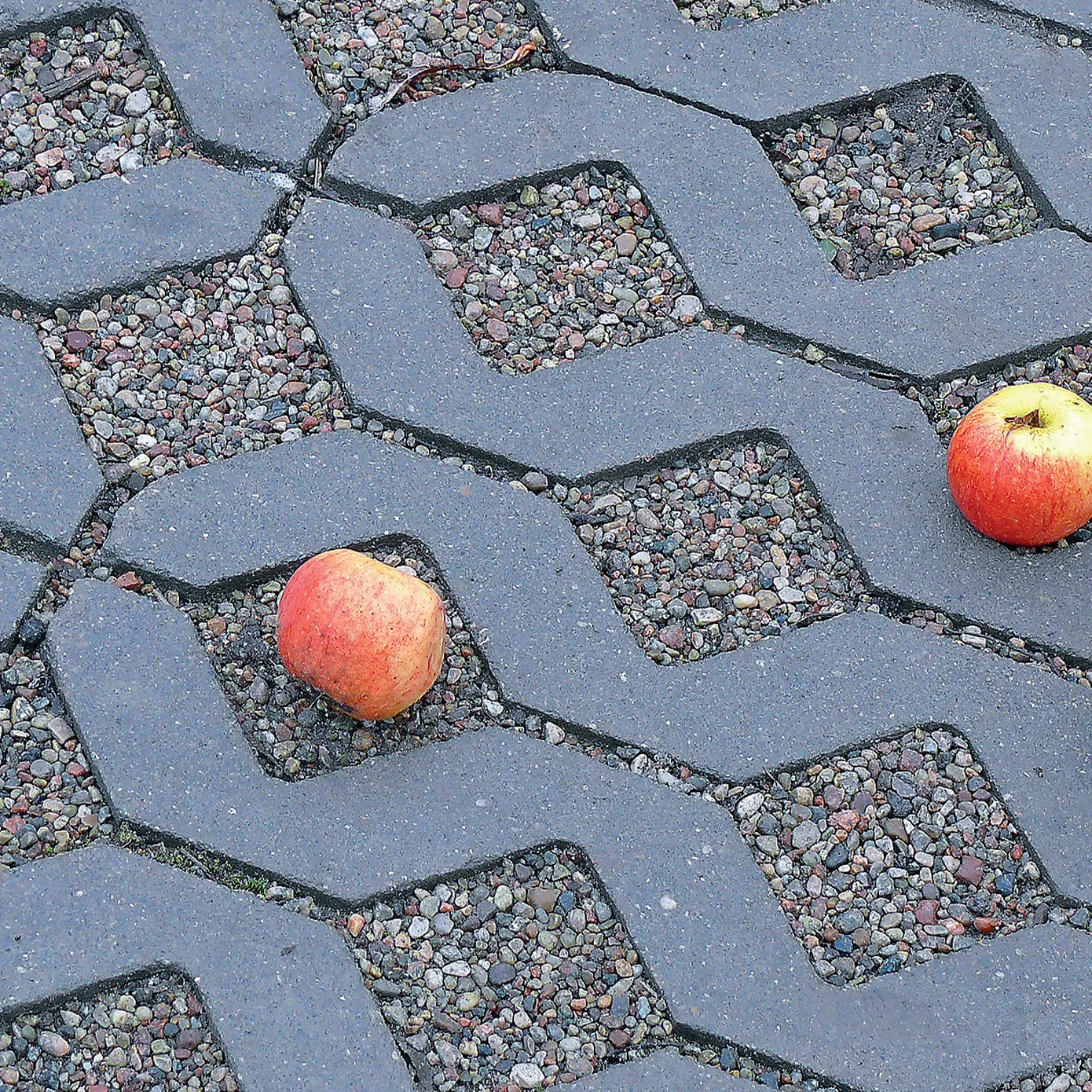 Polbruk Ażurowa Meba – inspiracja nawierzchni lub aranżacji ogrodowej, zdjęcie 1 z 5